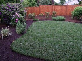 Lush green lawn with dark mulch beds and a wooden fence backdrop. 