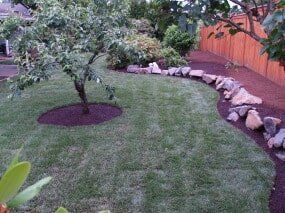 Lawn with tree and mulch, rocks border a bed of mulch along a wooden fence.