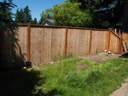 Wooden fence in a backyard with green grass, a dog, and trees under a blue sky.