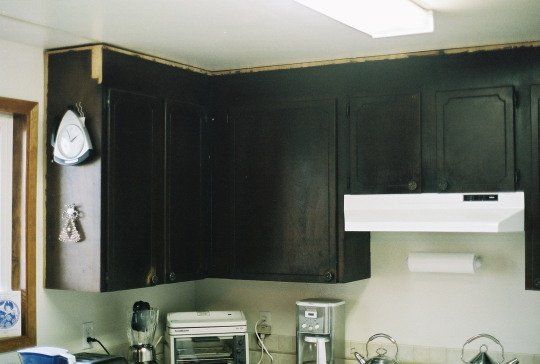 Dark kitchen cabinets with a white range hood and a roll of paper towels.