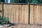 Wooden privacy fence. Vertical planks, natural wood color, in a yard with some foliage.