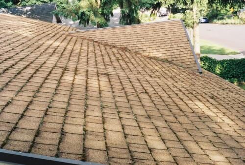 Brown asphalt shingle roof with moss growth.