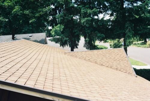 Brown shingled roof with trees in the background, likely on a house.