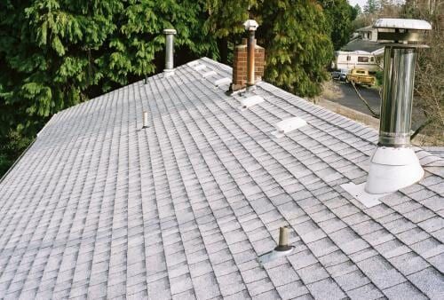 Gray shingle roof with chimneys and vents, trees and houses in the background.
