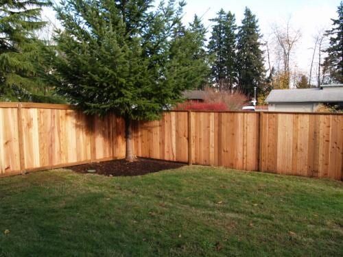 Wooden fence surrounding a grassy backyard with a tree in the corner, sunny day.