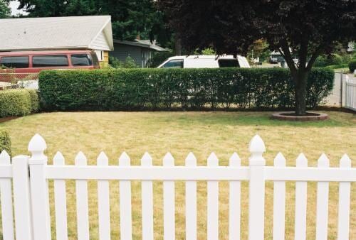 White picket fence in front of green lawn with trimmed hedge and tree in a yard.