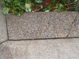 Gray concrete curb with cracks, next to a sidewalk and green plants.