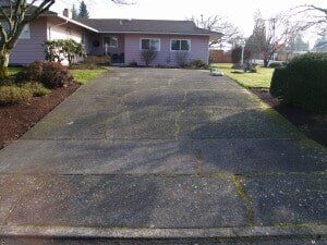 Concrete driveway leading to a pink house with windows, surrounded by grass and shrubs.