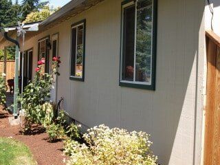 Beige house exterior with green-trimmed windows, a gutter, and landscaping.