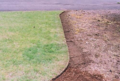Green grass next to bare dirt, separated by a curved border.