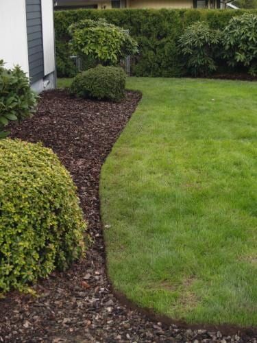 Lawn border with dark mulch and green grass, shrubs, and trees in the background.