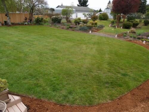 Lush green lawn with a brown mulch border, garden beds, and trees.