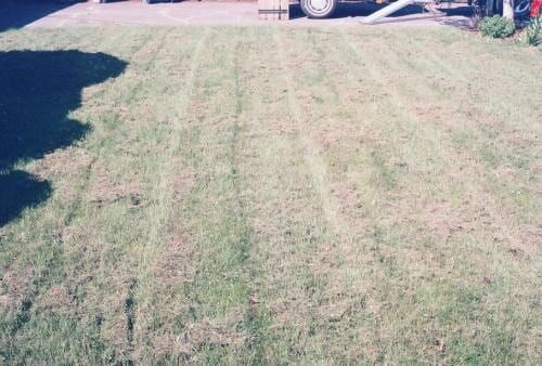 Lawn with visible mower tracks, in front of a building. 