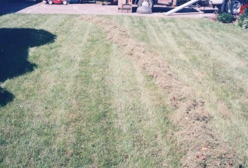 Lawn with a strip of grass clippings raked in the center.