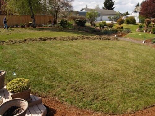 A grassy backyard with a path and a brown border around the lawn. 