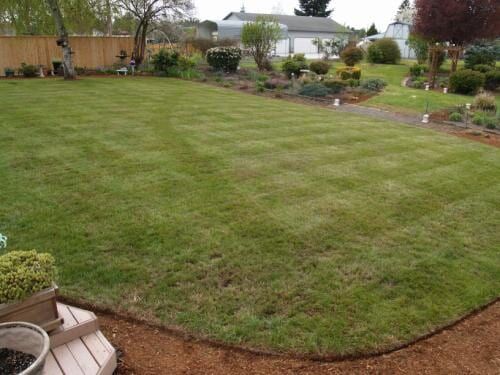 Well-manicured green lawn in a backyard, bordered by brown edging and a wooden deck.