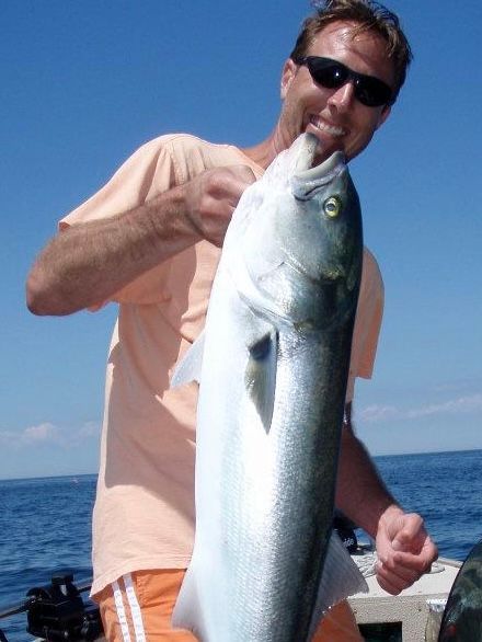 Rockport Bluefish