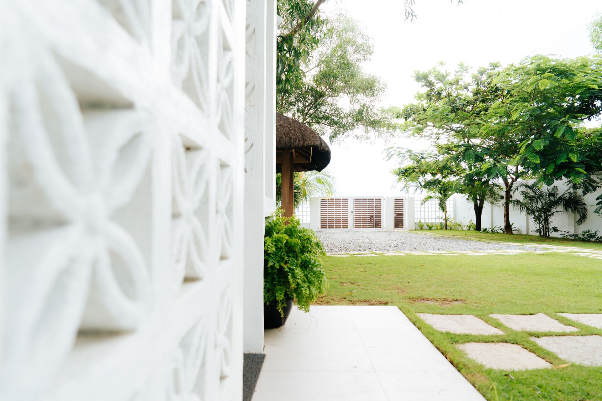 White patterned wall, grassy yard, and distant white buildings under a bright sky.