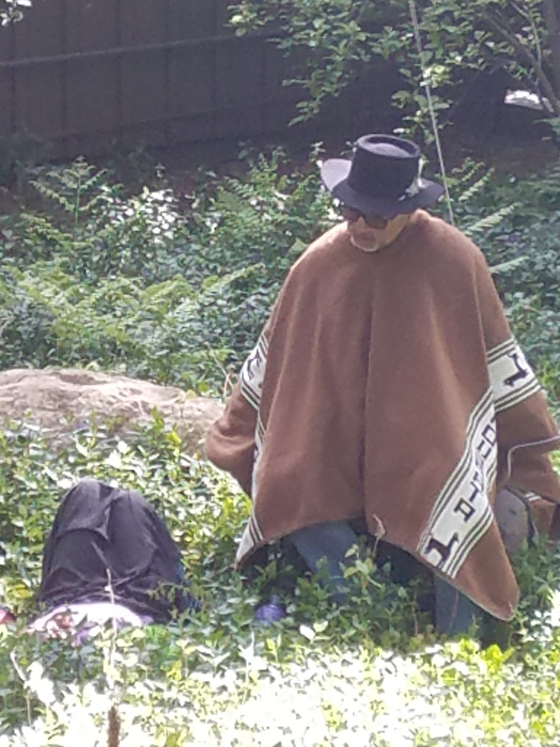 Insight from Daniel Gutierrez