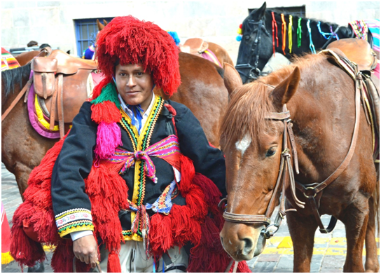 Guide with horses