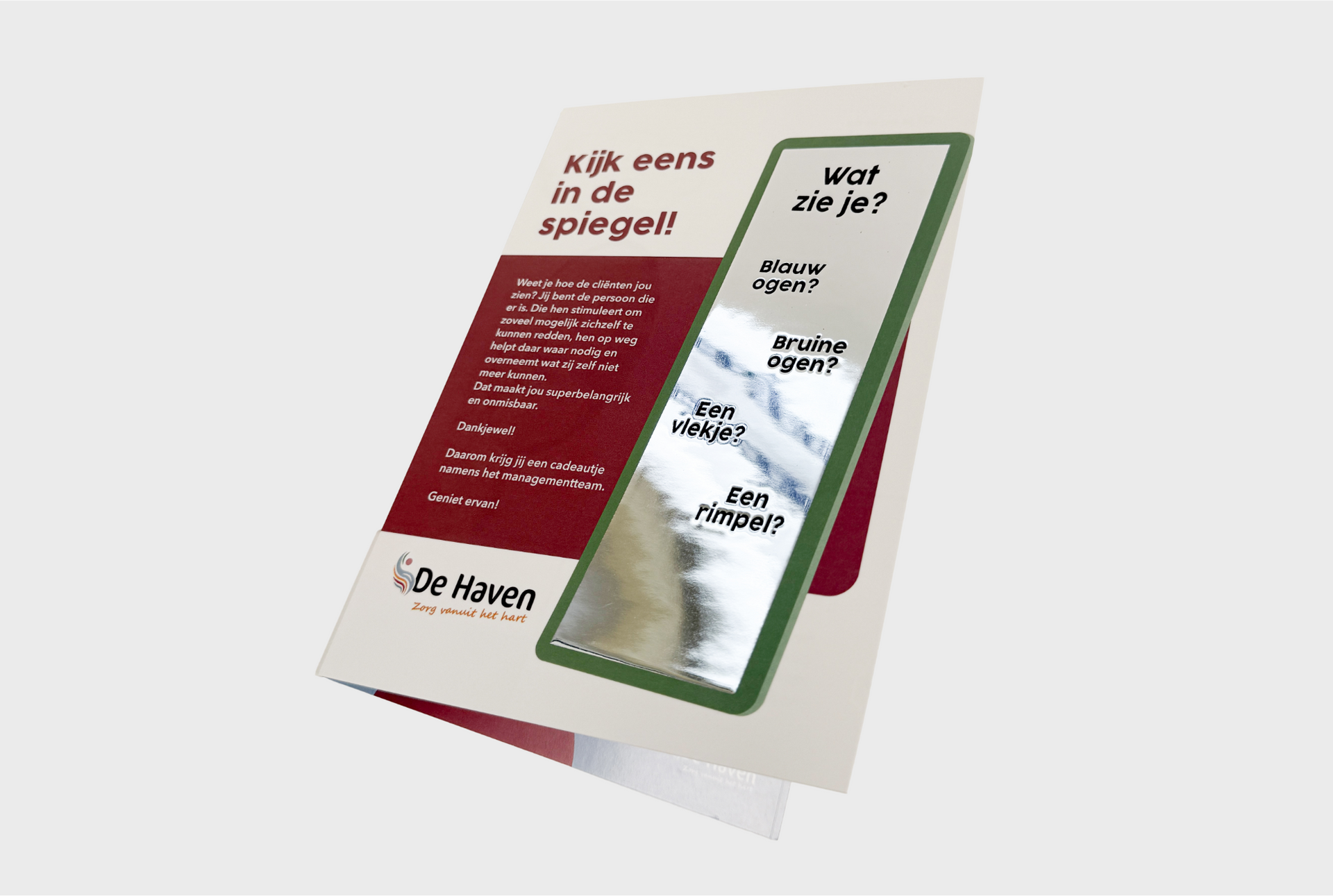 spiegelkaart de Haven