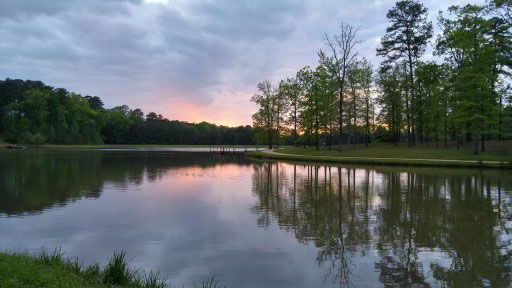 A serene lake reflects a sunset with pink clouds above a line of green trees and a grassy shore.