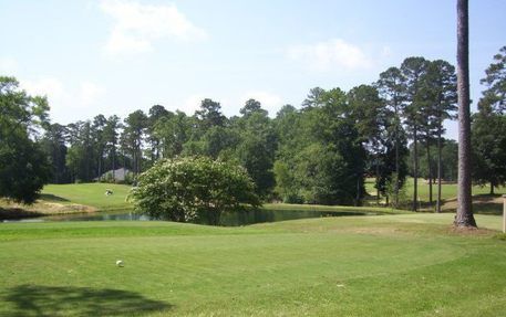 A sunny golf course green looking over a pond toward a wooded area and a tall tree on the right.