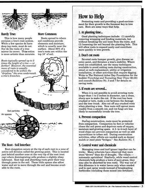 Protecting Roots Article