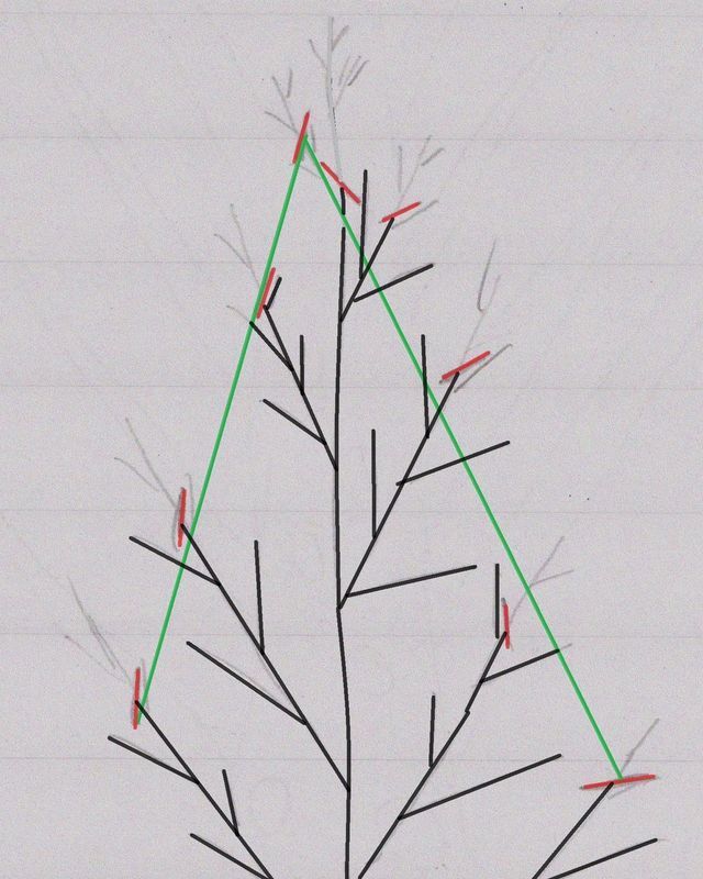 A Drawing of a Tree With a Triangle in the Middle