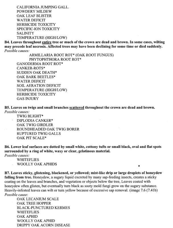Types of Leaves Diseases