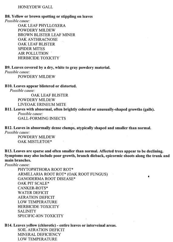 Leaves Disease and Causes