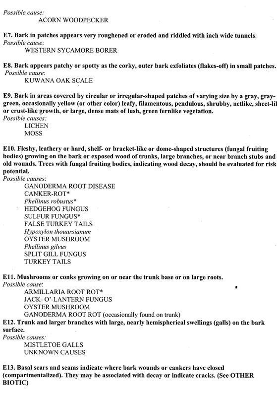 List of Diseases on It