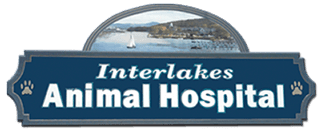 Interlakes Animal Hospital