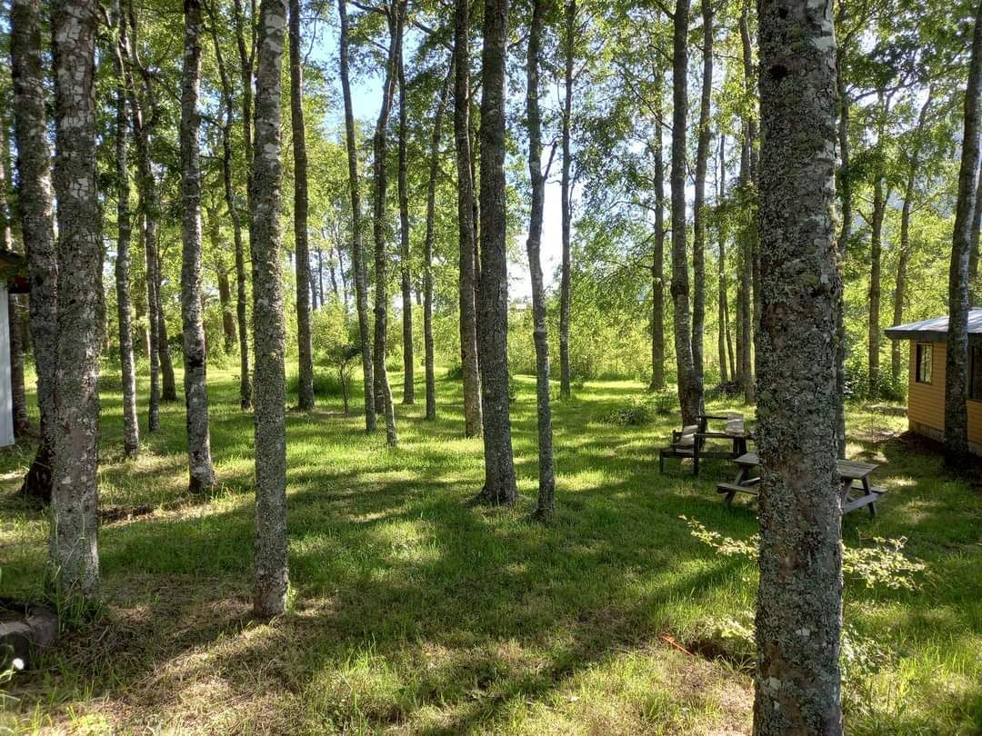 Parque Camping Alto Trapel