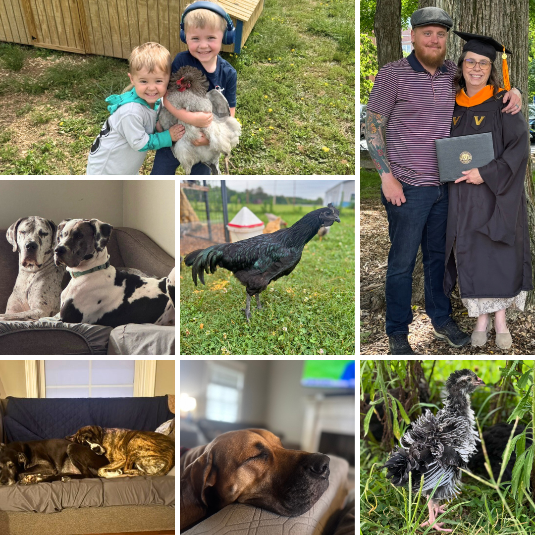 A collage of pictures of people and animals including a woman in a graduation cap and gown