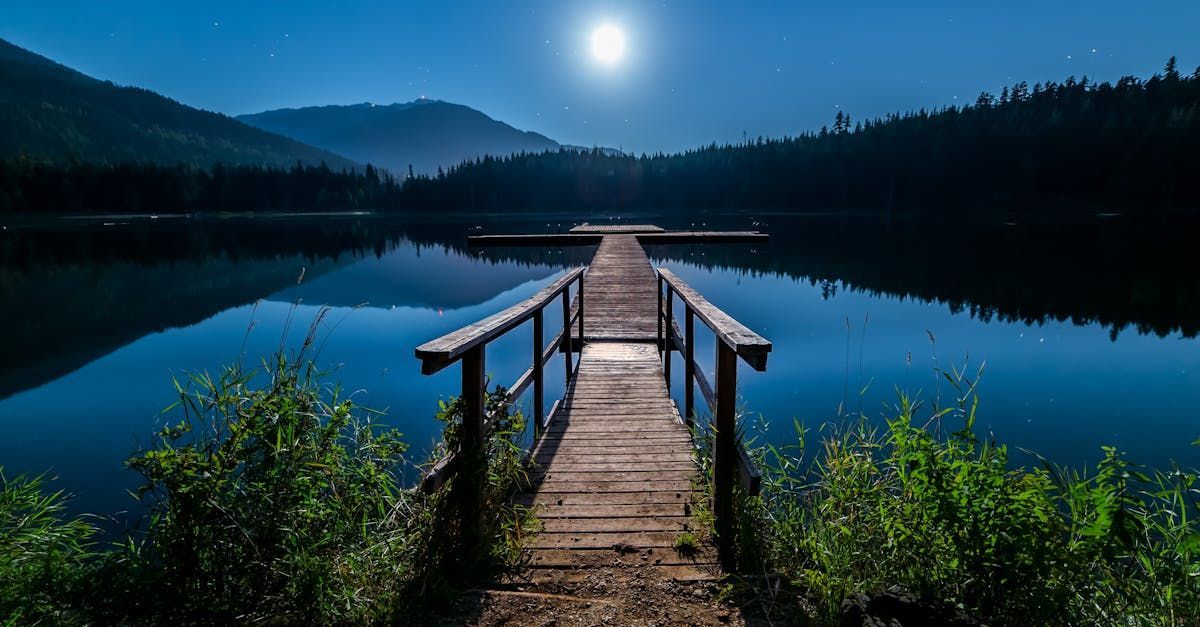A wooden dock leading to a lake at night with a full moon in the background.
