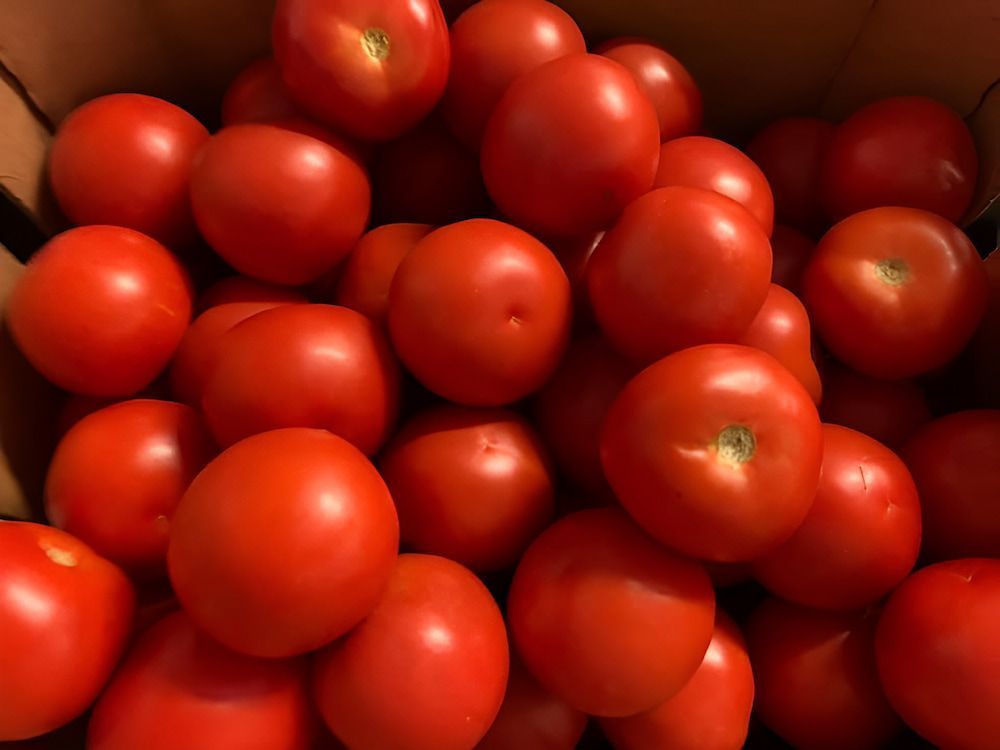 A Pile Of Red Tomatoes In A Cardboard Box — Central Fruit & Vegetable Wholesalers Pty Ltd In Alice Springs, NT