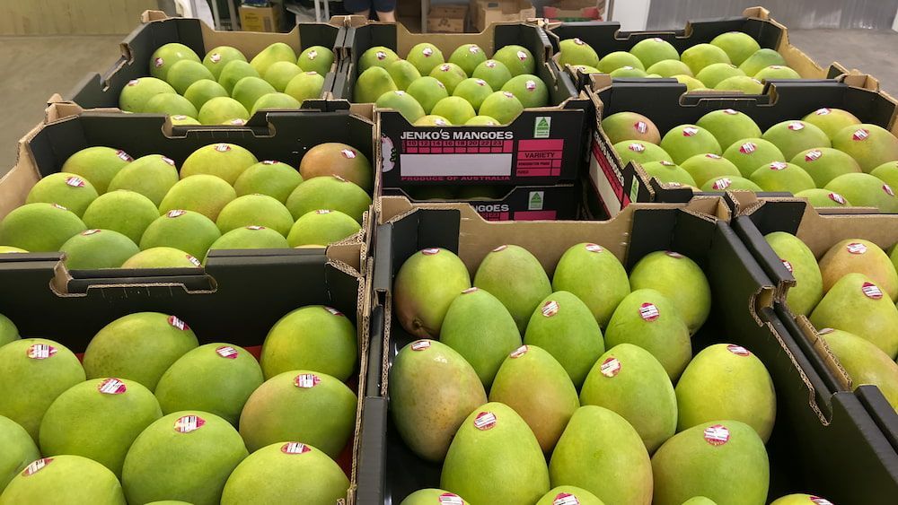 A Bunch Of Boxes Filled With Green Mangoes — Central Fruit & Vegetable Wholesalers Pty Ltd In Alice Springs, NT