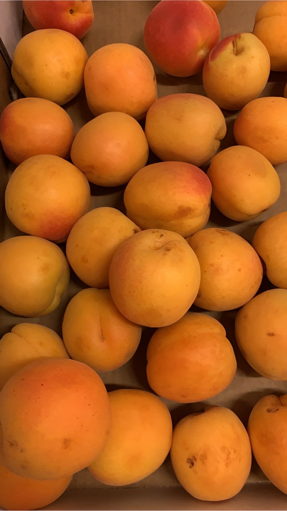 A Pile Of Apricots On Top Of Each Other — Central Fruit & Vegetable Wholesalers Pty Ltd In Alice Springs, NT