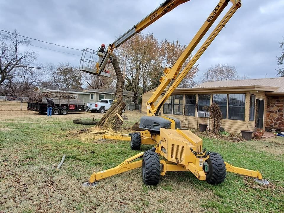 Yellow excavator lifting a tree in a yard beside a house, with a utility truck and boom lift nearby.