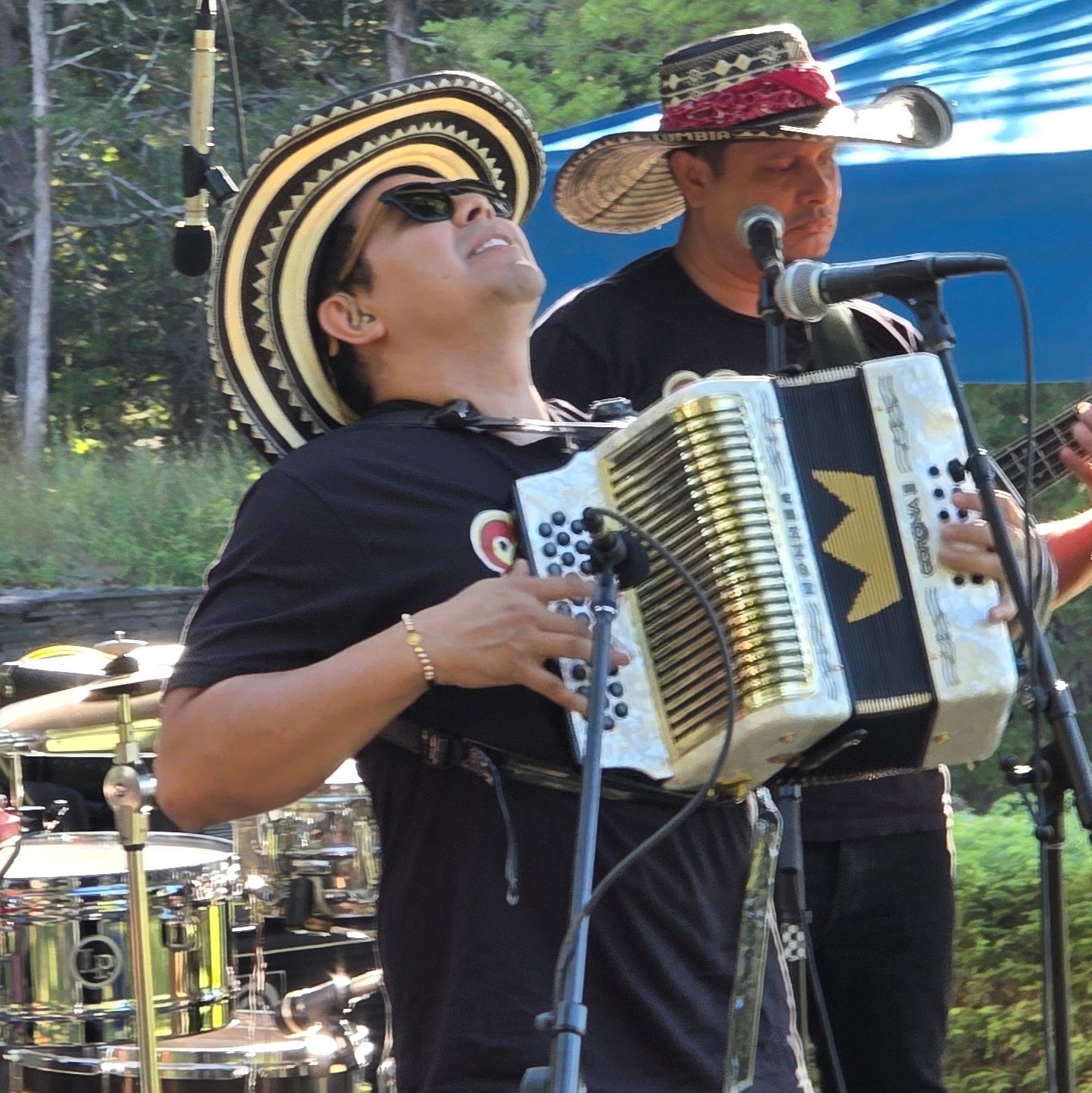Hombre tocando el acordeón con sombrero, actuando al aire libre.
