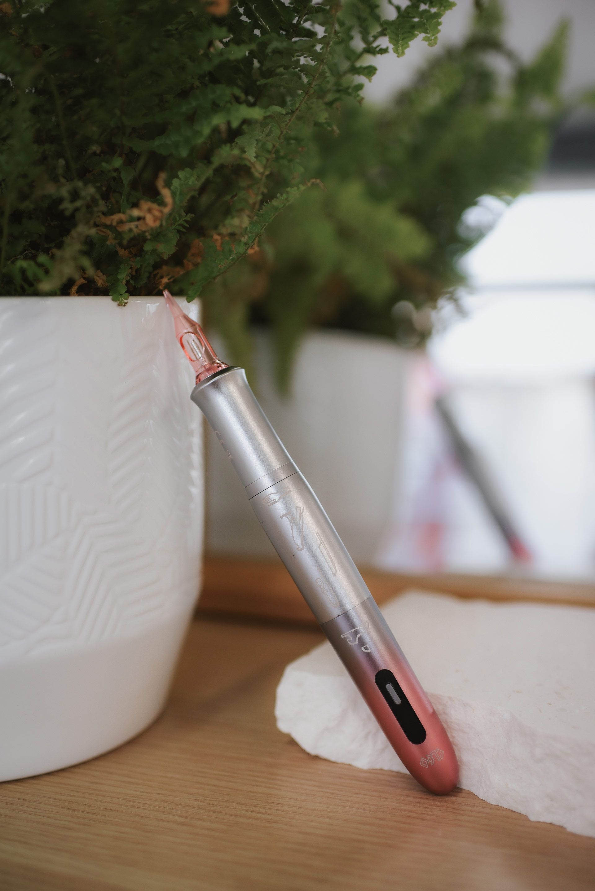 Silver and pink pen resting on a white stone, near a potted fern.