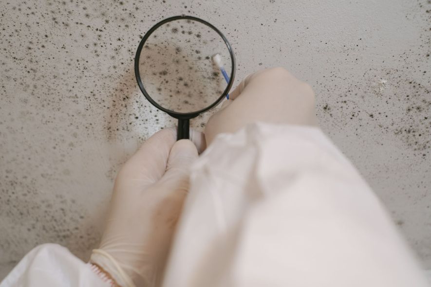 Person examining a wall with mold using a magnifying glass and swab, wearing gloves and protective suit.