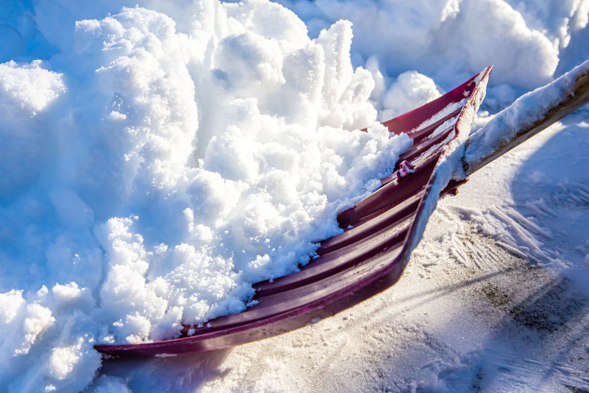 A red shovel pushing a pile of fresh, fluffy snow during winter