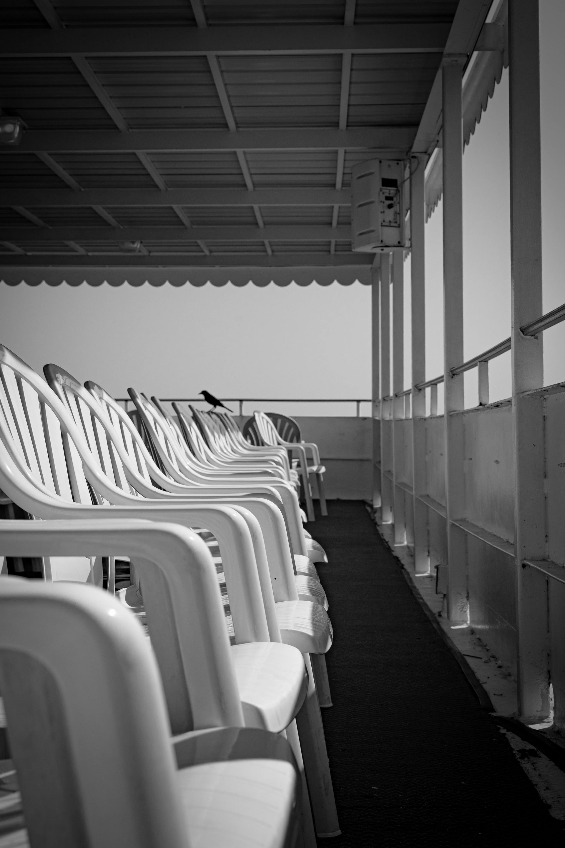 Row of white plastic chairs on a deck with railing and overhead canopy, in black and white.
