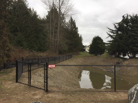 A Chain Link Fence Surrounds a Pond in A Yard - Sequim, WA- NW Chainlink Fence Co