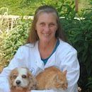 Raccoon Valley Animal Hospital — Dr. Noreen Lanza  in Mullica Hill, NJ