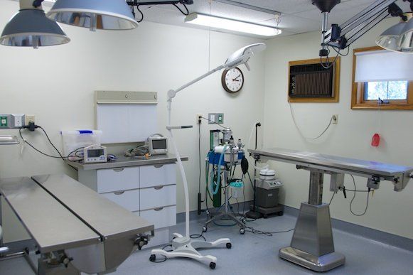 Clinic — Clinic Area in Mullica Hill, NJ