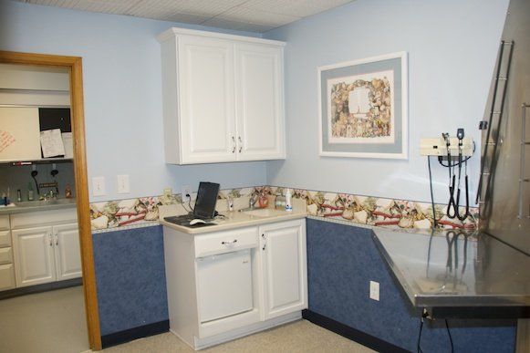 Pet Hospital — Wallpaper Decoration in Area in Mullica Hill, NJ