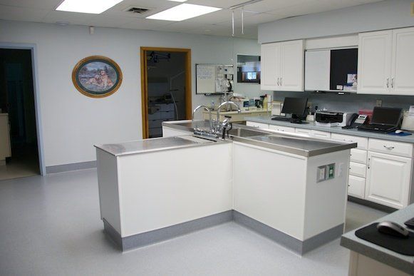 Pet Laboratory — Laboratory Area in Area in Mullica Hill, NJ